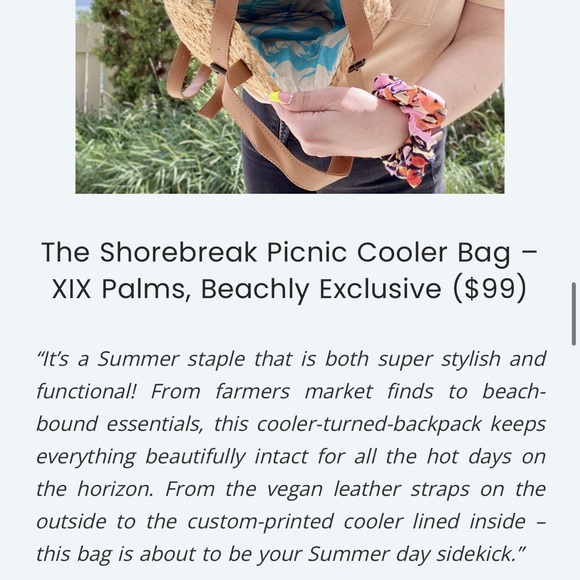 The Shorebreak Picnic Cooler Bag/Backpack– XIX Palms, Beachly Exclusive NWT - Picture 10 of 11